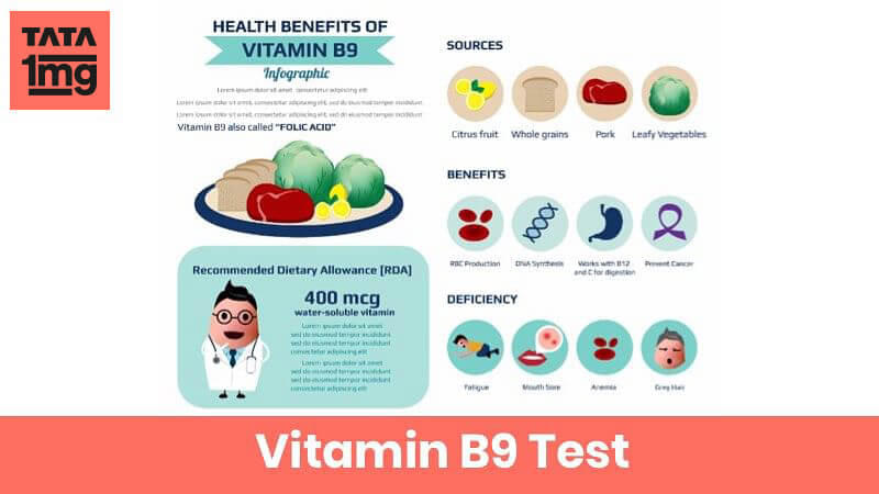 Vitamin B 9